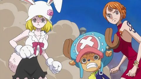 one piece carrot Tumblr One piece nami, One piece manga, One