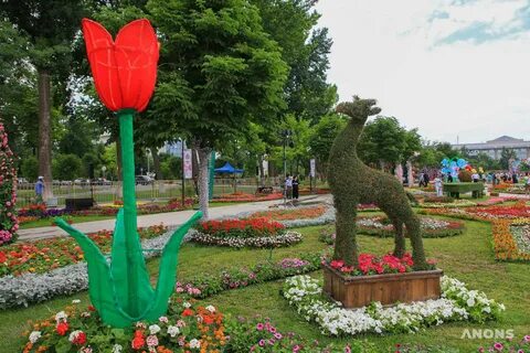 Праздник красоты и эстетики: в Ташкенте стартовал фестиваль 