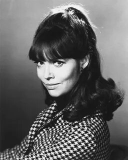 Barbara Feldon