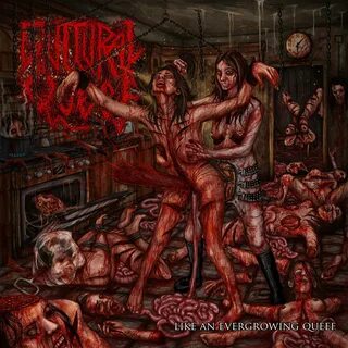 Metal Area - Extreme Music Portal Guttural Queef - Like An E