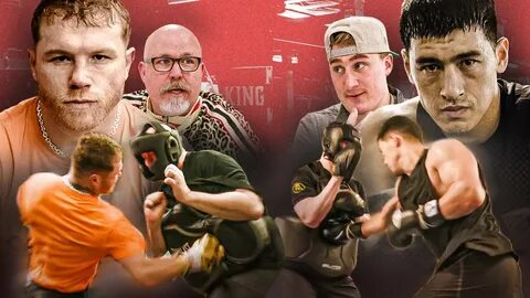Barstool canelo