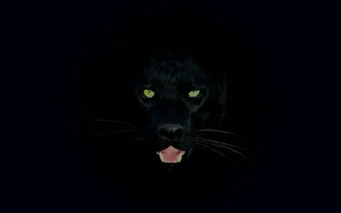 Черный леопард обои - 32 фото - картинки и рисунки: скачать 