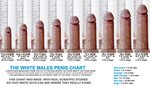 Blowjob Average Penis Size