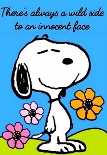 Pin by Clayleen Rivord on Snoopy Snoopy cartoon, Snoopy, Pea