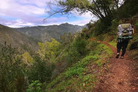 Pine Ridge Trail - Ventana Wilderness, Los Padres National. 