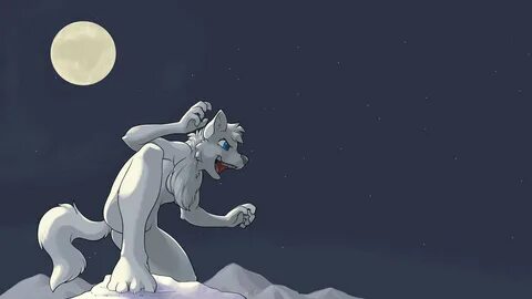 Furry Wolf Wallpaper (73+ images)