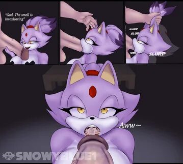 Slideshow blaze the cat porn comic.