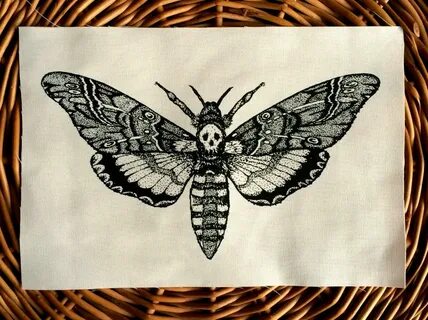 moth sketch with skull - Google Search Moth tattoo, Moth tat