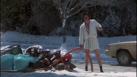 national lampoons christmas vacation, National, Lampoon, Chr