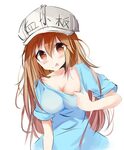 For fan of legal thing Hataraku Saibou / Cells at Work! Know