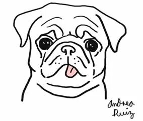 Pug Drawing at GetDrawings Free download