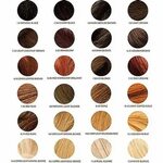 Ion Permanent Hair Color Chart : Ion Color Chart : The 25+ b