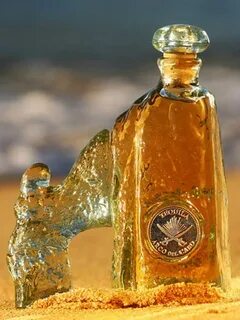 Reposado Tequila Bottles - Photographs - Pictures - Page Two