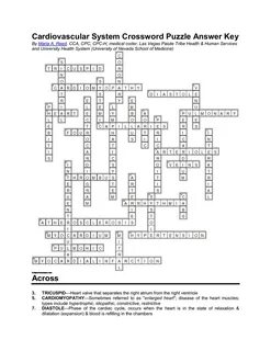 Circulatory System Respiratory System Word Search Puzzle