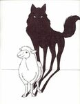 Pin by Caroline Yauri on Wolf ♡ Sheep art, Sheep illustratio