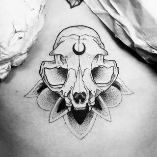 cat skull drawing Cat skull tattoo, Animal skull tattoos, Ca