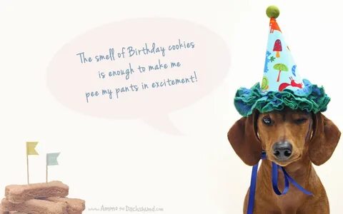 Dachshund clipart happy birthday dachshund clip library libr