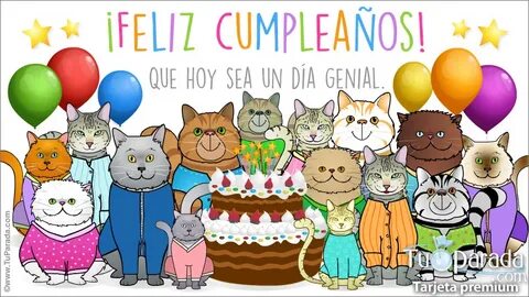 Tarjeta de cumpleaños con gatos - Cumpleaños, tarjetas