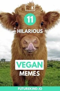 11 Funny Vegan Memes That Only a True Vegan Will Love in 201