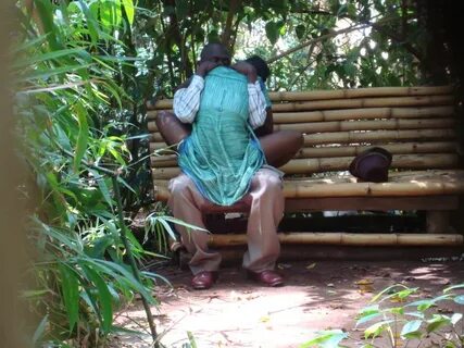 Muliro Garden / Muliro Gardens Sex Bench On Popscreen - Ande