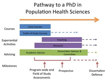 Types of phd dissertations