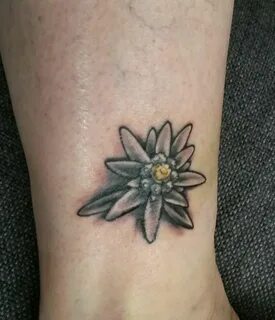 Edelweiss tattoo Tattoos, Edelweiss tattoo, Body art tattoos