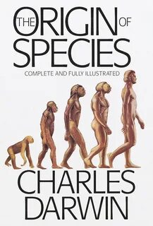 Charles Darwin Origin Of Species drawing free image download