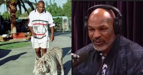 WATCH: Mike Tyson Explains Just How He Got Those Tigers