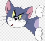 Tom Cat Tom and Jerry, Cat, mamalia, hewan png PNGEgg