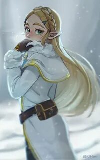 Pin by Jenna Gunter on Zelda( botw) (● ＞ ω ＜ ●) Legend of ze