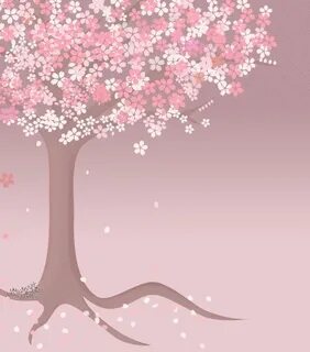 Cherry blossom tree, Blossom trees, Family tree art