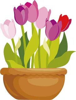Flowerpot Drawing Clip Art Vector Cartoon Flat Tulip - Flowe
