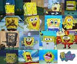 Download 74 Meme Spongebob Face Terunik - Serba Serbi Gambar