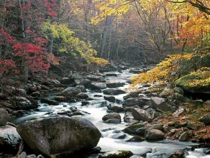 Great Smoky Mountains National Park Wallpapers - Wallpaper C