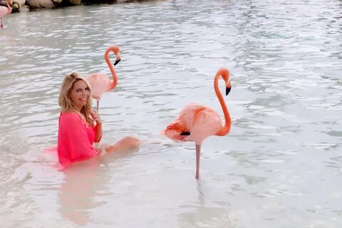 Aruba Flamingo Island