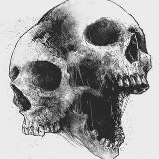 #bustarinov #devilreject Skulls drawing, Skull art drawing, 