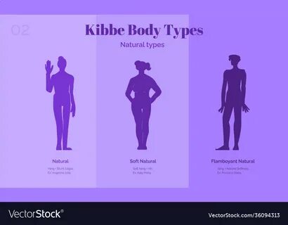 Three natural kibbe female body types Royalty Free Vector