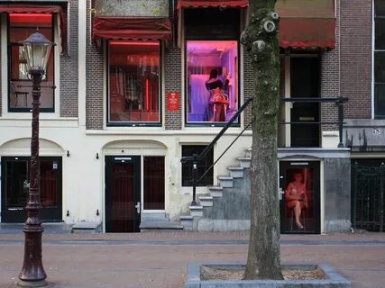 Велотур Амстердам-Гаага-Роттердам - на велосипеде по Голланд