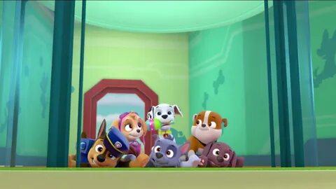 Category Pups Save The Hippos Pages Paw Patrol Wiki - Madrev
