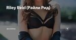 Riley Reid (Райли Рид) Бесспорно Яндекс Дзен