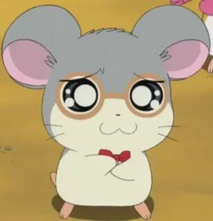 Dexter from Hamtaro