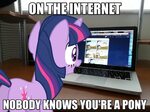 NOBODY KNOWS YOU'RE A PONY My Little Pony: Friendship is Mag