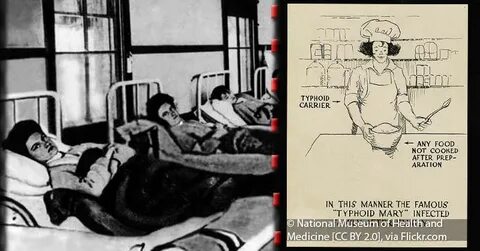 Typhoid Mary: How An Ordinary Cook Caused Outbreaks Of A Dea