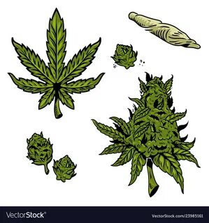 Cannabis marijuana set Royalty Free Vector Image