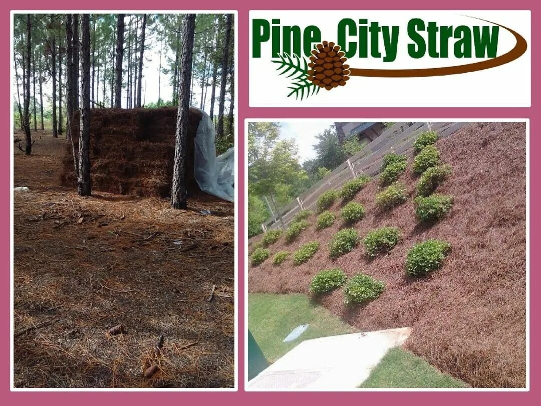 Pine City Straw в Instagram: "We are experienced in the work of pine s...