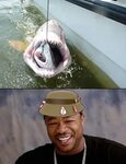 yo dawg I heard you like shark fishing - Meme by Zilean :) M