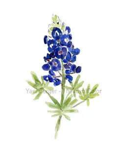 Blue Bonnet Bluebonnet - Clip Art Library