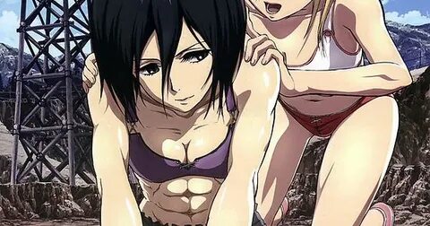 Mikasa's abs - Imgur