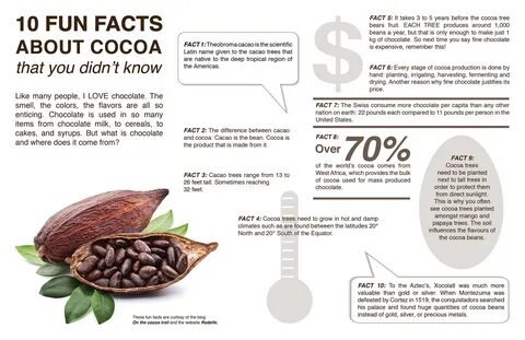 10 Fun Facts About Cocoa - Graphic Design on Behance
