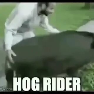 Hog Rider Wtf Is This GIF - Hog Rider Wtf Is This - Discover